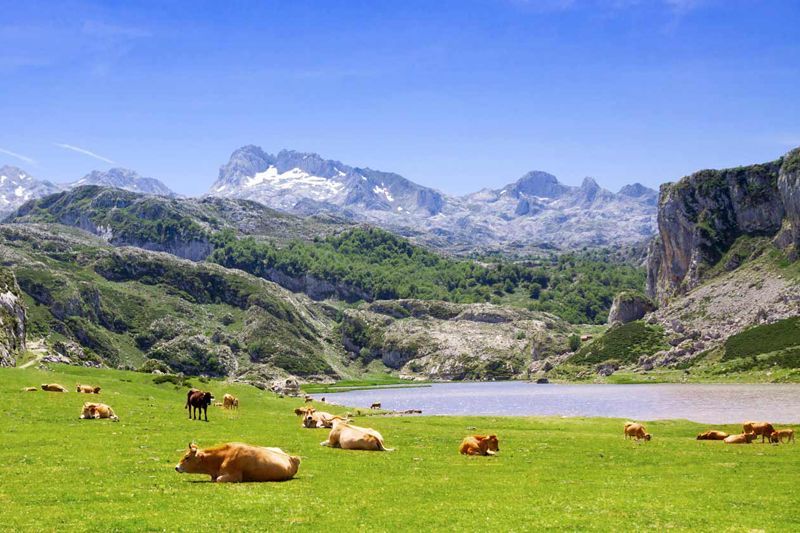 subir a los lagos de covadonga