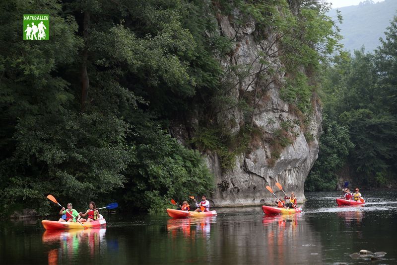 Personas haciendo kayak en río rodeado de árboles