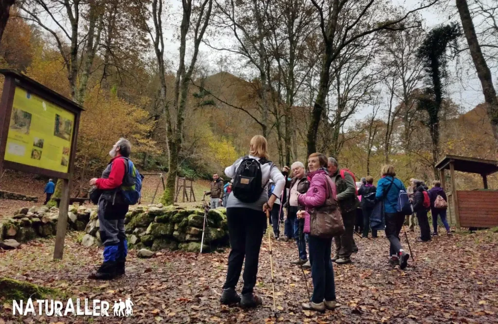 Grupo de senderistas en bosque otoñal